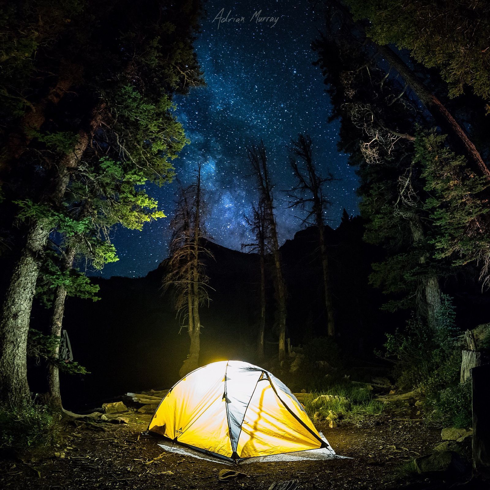 A brightly lit tent stands under a star-filled sky, surrounded by tall trees in a serene Idaho wilderness setting.