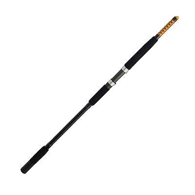 Ugly Stik Bigwater Fishing Rod 15' - Heavy - 30-50lb - 2pc