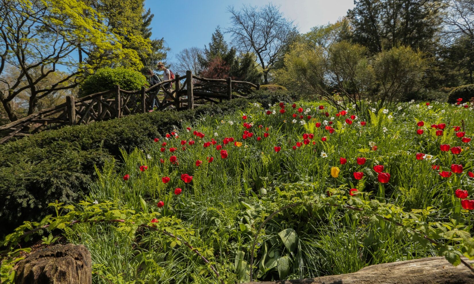 Shakespeare Garden