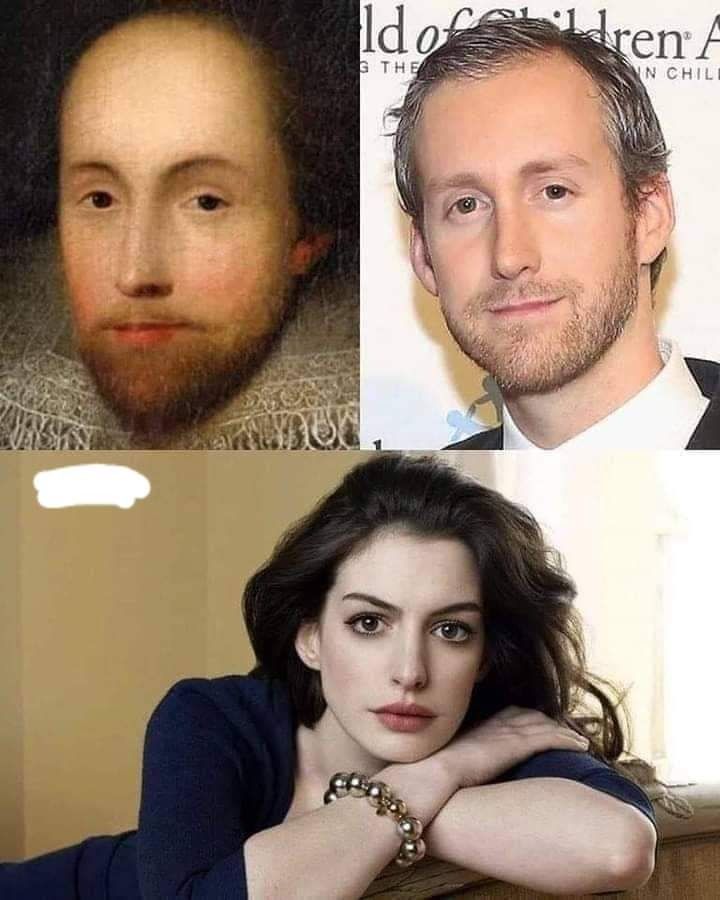 Anne Hathaway's Husband Resemblance