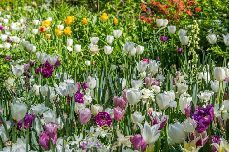 Spring Garden in NYC