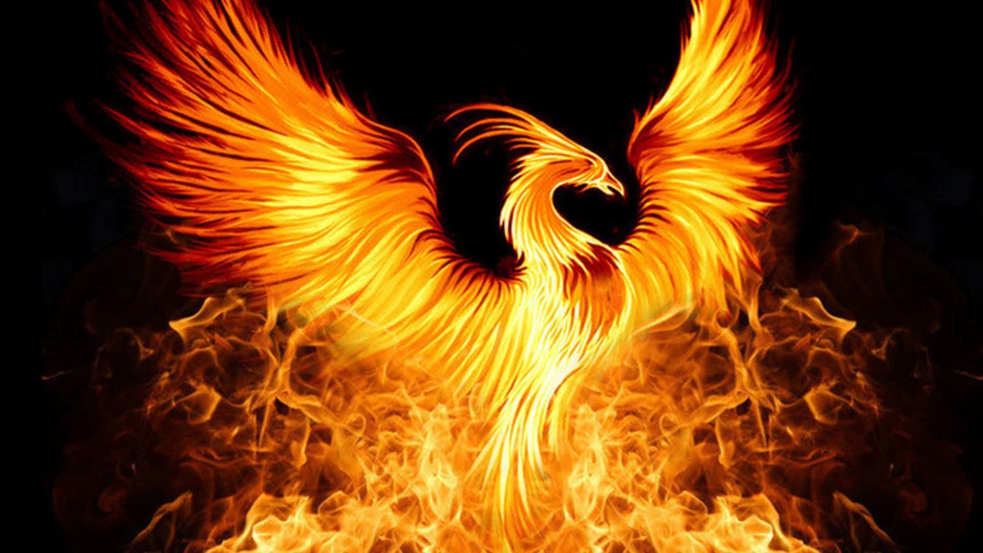 Phoenix