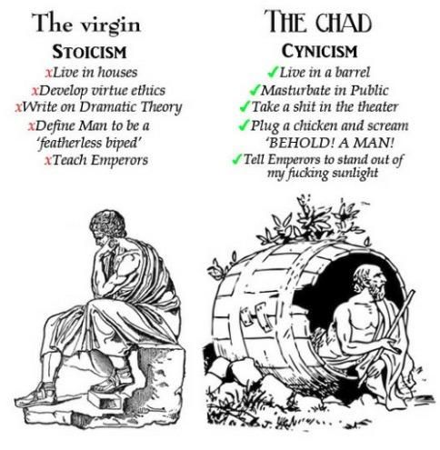 The comparison highlights the contrasting lifestyles of Stoicism and Cynicism, portraying Stoics as refined and virtuous while depicting Cynics as wild and unapologetically blunt.