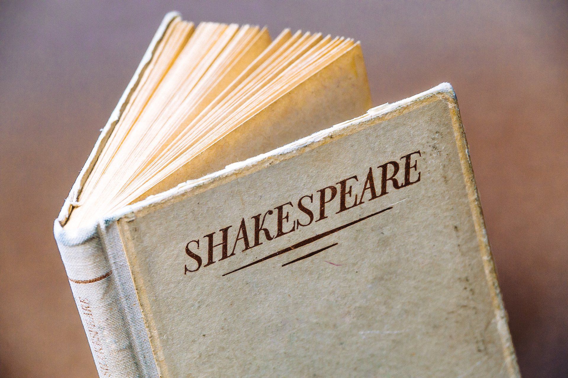 Shakespeare Book